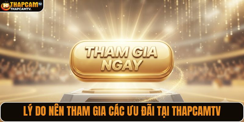 Lý do nên tham gia các ưu đãi tại ThapcamTV